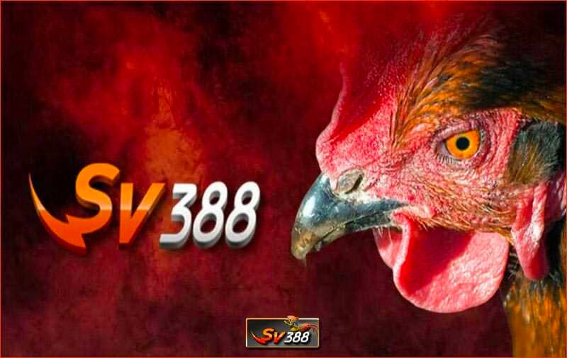 Đá gà online sv388